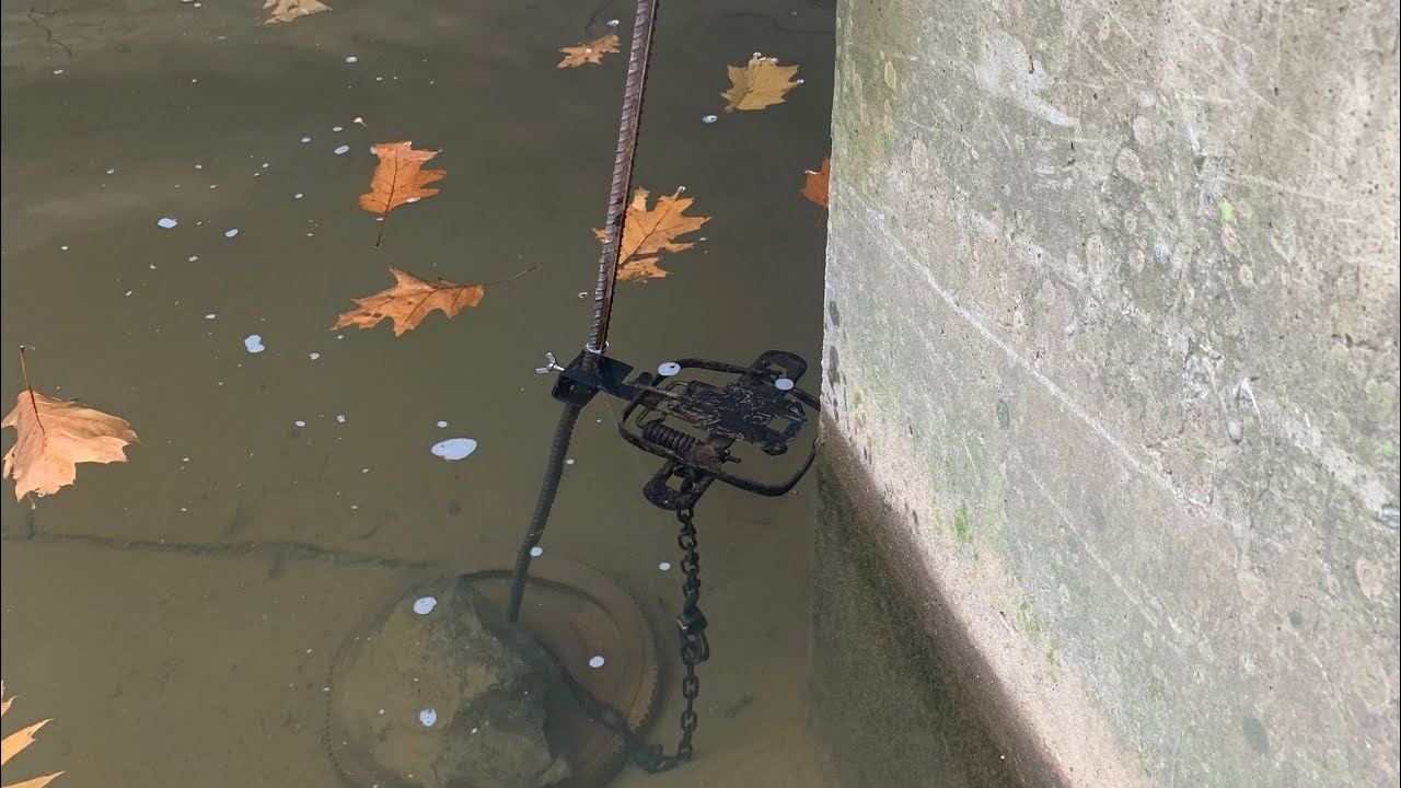 Набор для ловли норки Deep Water Top Edge