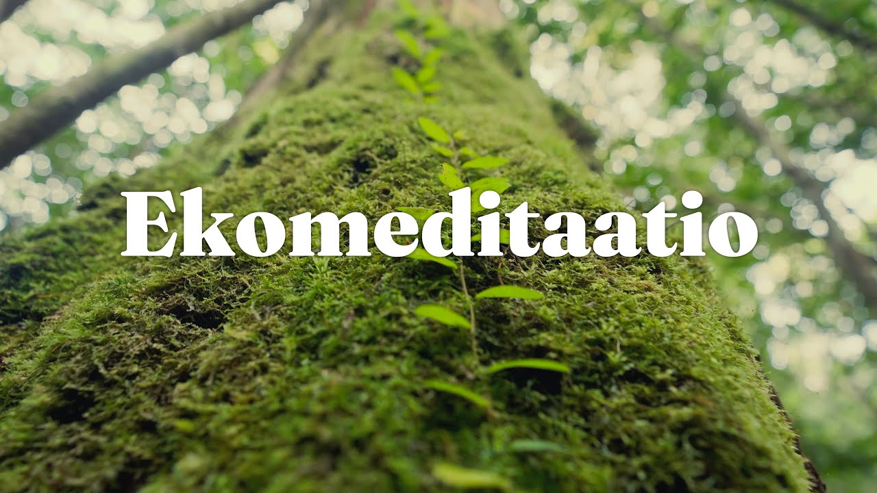 Ekomediaatio | Ota hetki itsellesi