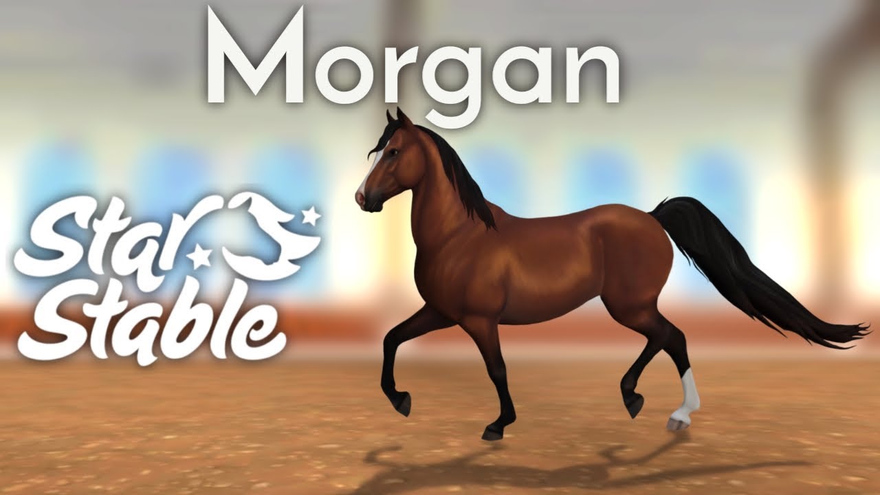 [SSO] Nuovi Morgan -SPOILER-