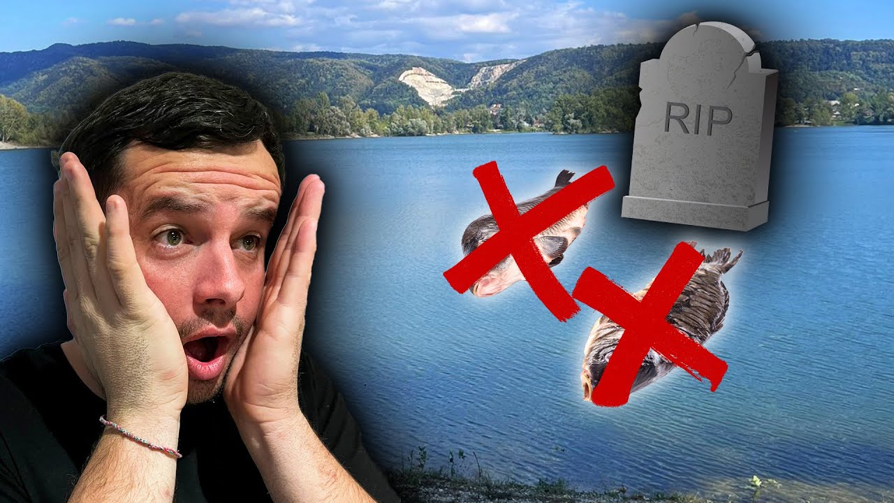 What Happened to the fish??? 😱 | Lake Zajarki | Tom's CineVlog | CineCarp TV