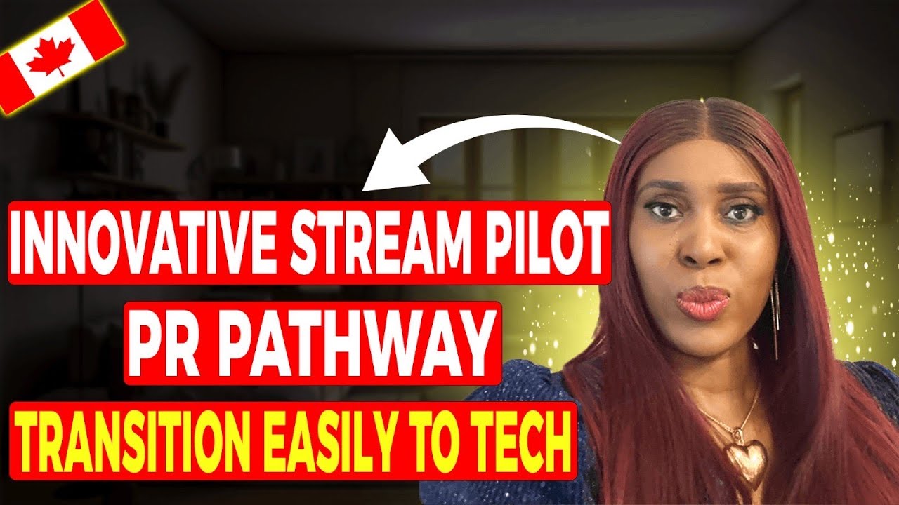 INNOVATION STREAM PILOT | New PR Pathway | Transition into tech with ease with Amdor Analytics