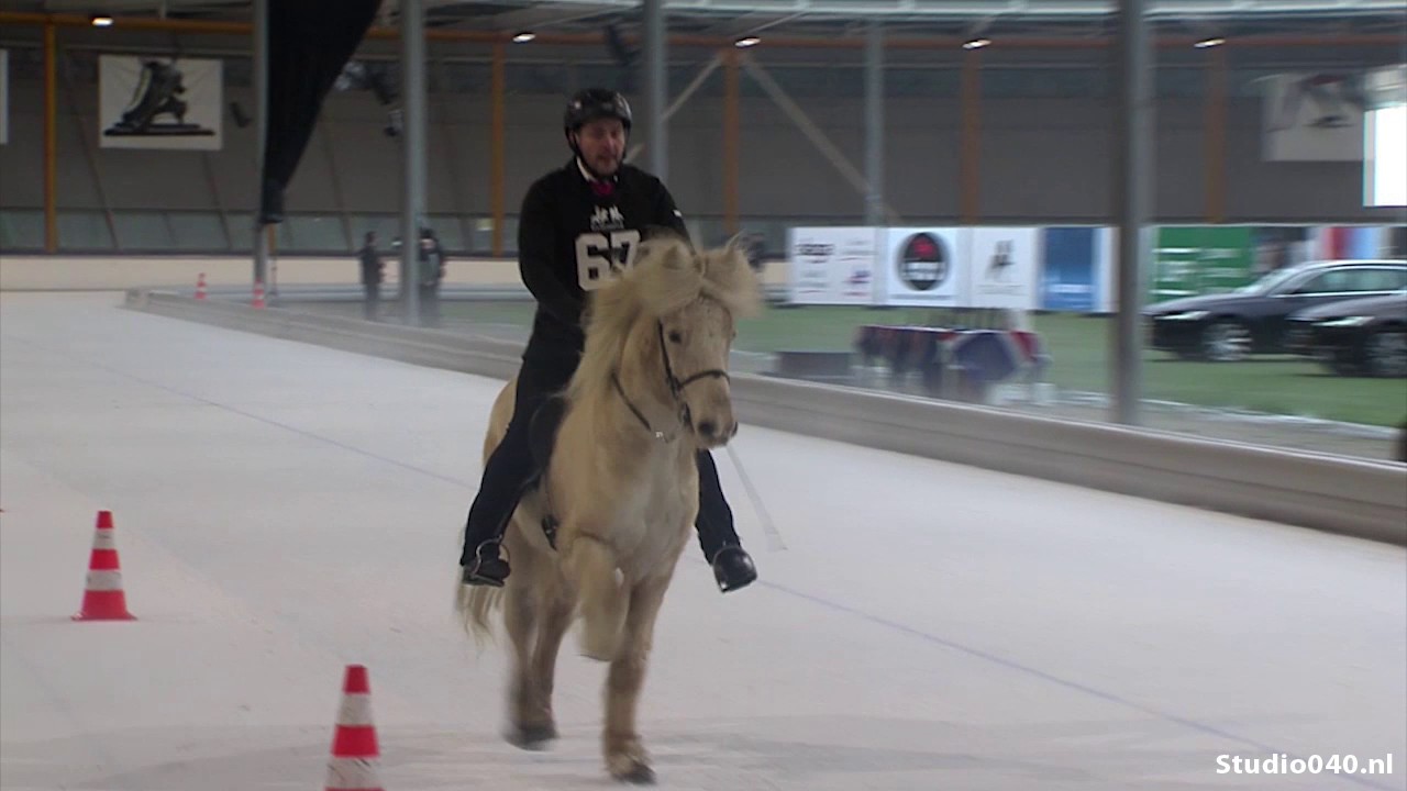 IJslanders paarden op de schaatsbaan