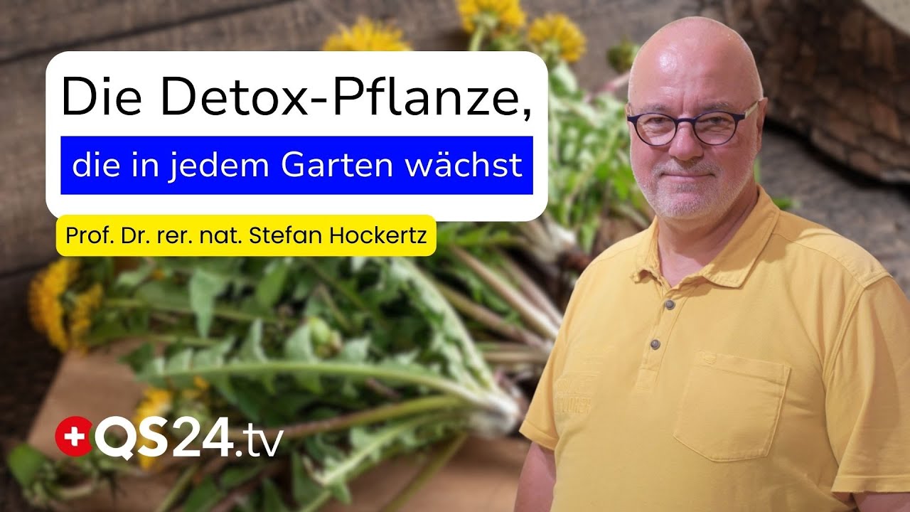 Löwenzahn: Das unterschätzte Heilmittel direkt vor unserer Haustür | QS24 Wissenschafts-Gremium