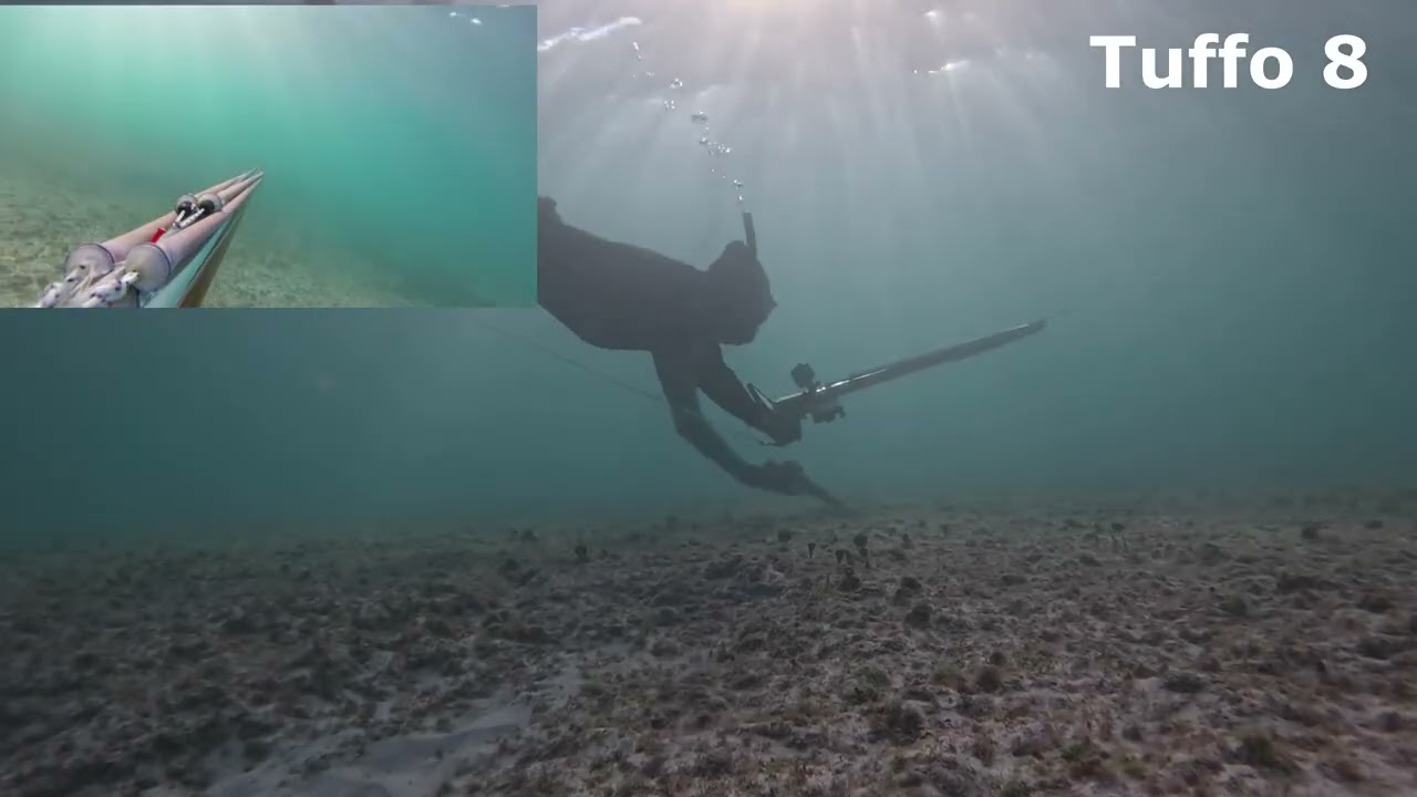 Pescasub in aspetto reale senza tagli con cattura