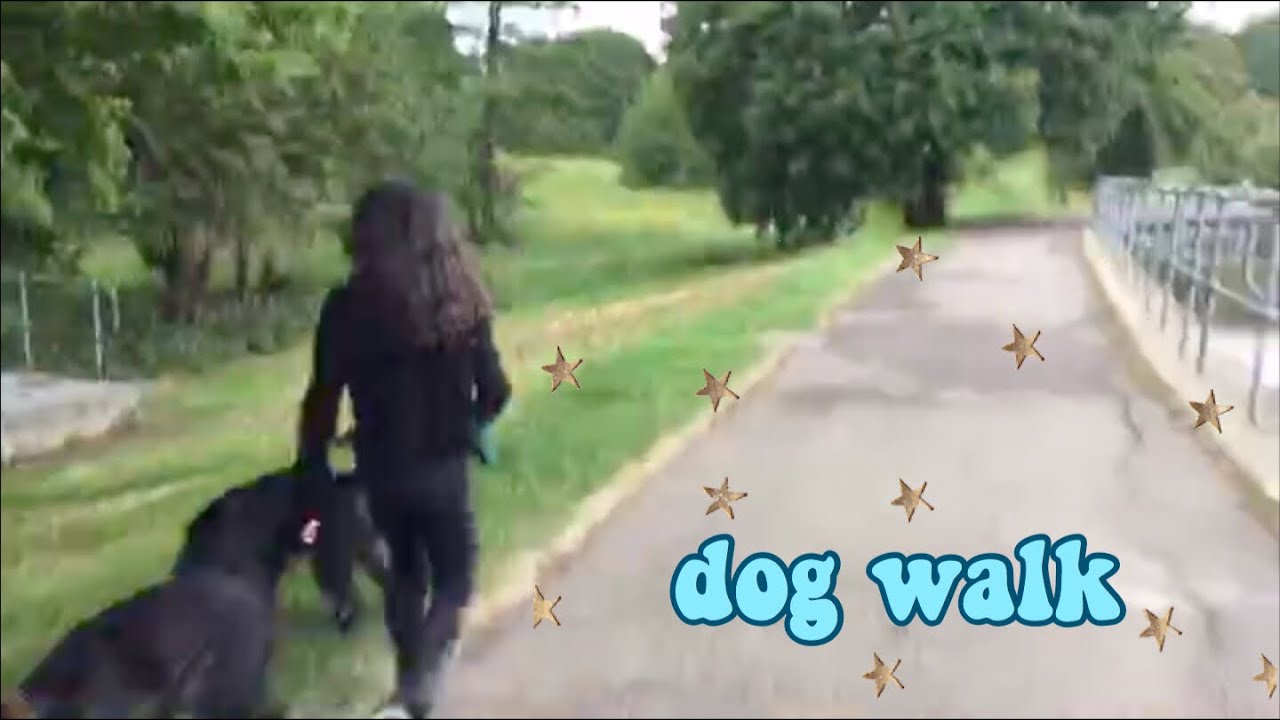 dog walk (vlog)