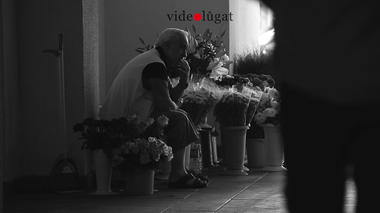 videolûgat & Ludovico Einaudi - Çiçekçi | videolûgat