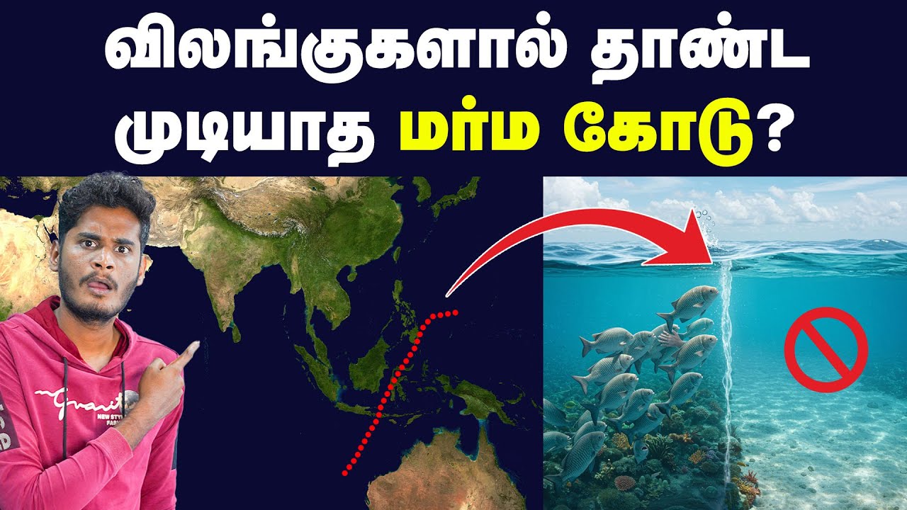 இந்தியப் பெருங்கடலை இரண்டாகப் பிரிக்கும் மர்மக் கோடு! | How Wallace line creates a split in the sea
