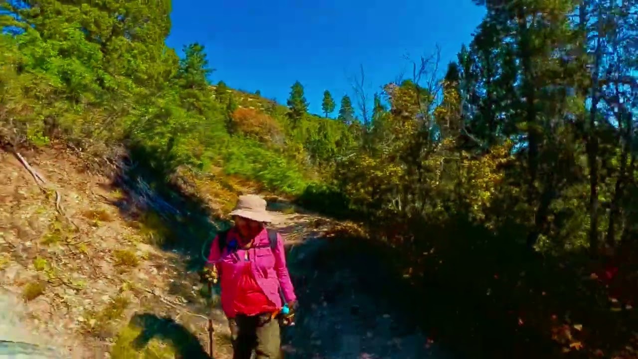 Wildcat Canyon Utah