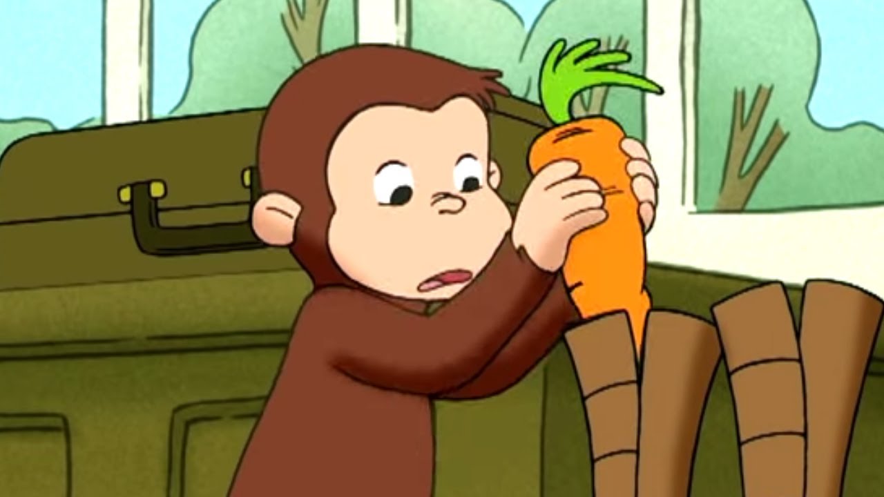 Jorge el Curioso en Español 🐵La Zanahoria Perfecta - 🐵Mono Jorge🐵Caricaturas para Niños