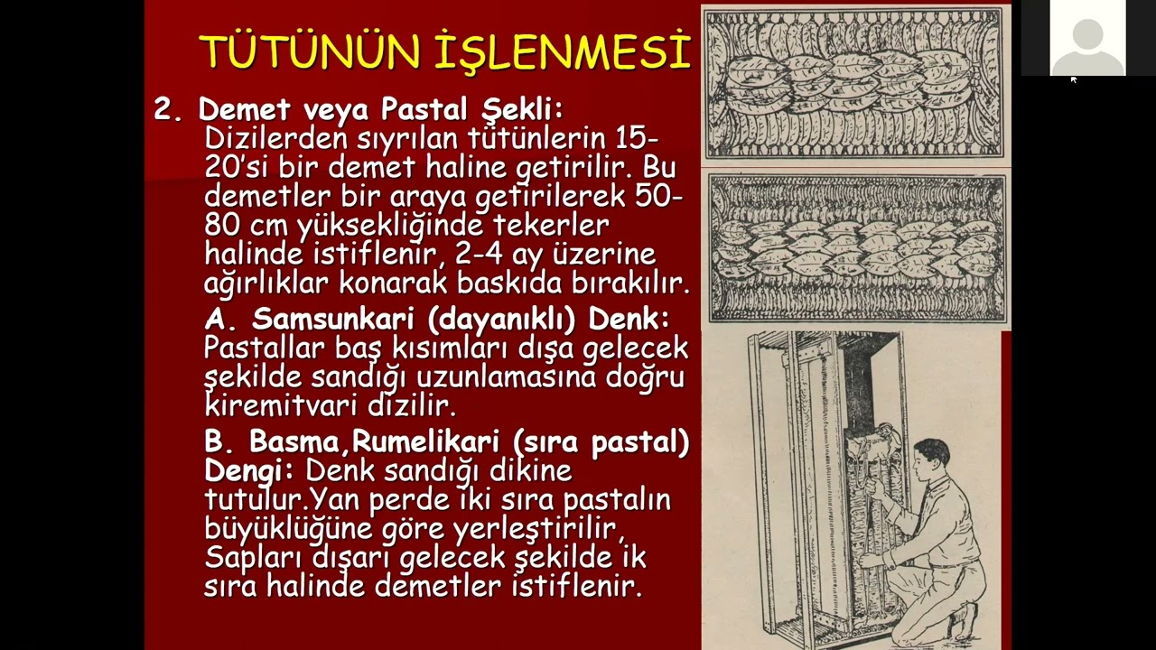 tütünde fermantasyon ve kalite