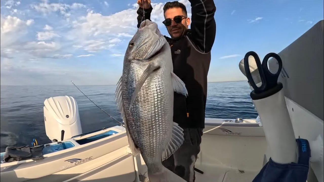 Más de 10 PICADAS DENTONES en UN solo DIA💣 Brutal 🔥#denton #shimanofishing