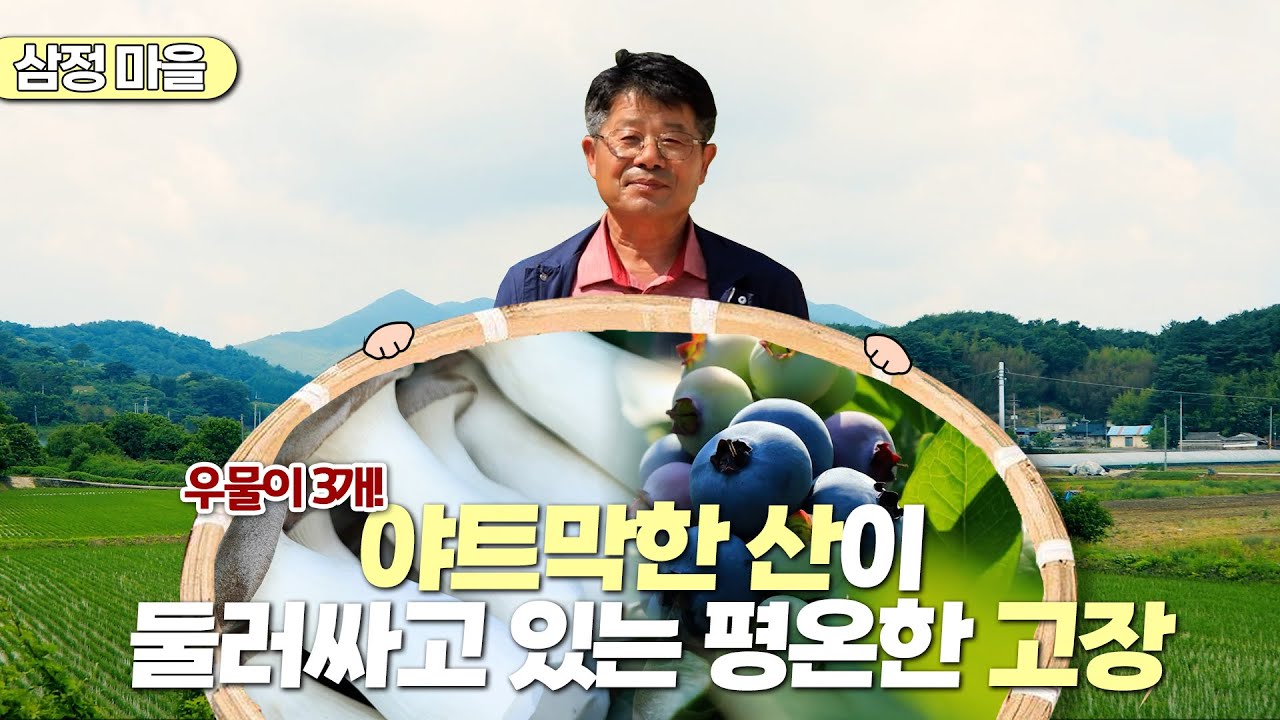 新우문현답 | 351회. 과속 스캔들  | 경남 사천시 곤명면 삼정마을 (KBS 2023.07.05 방송)