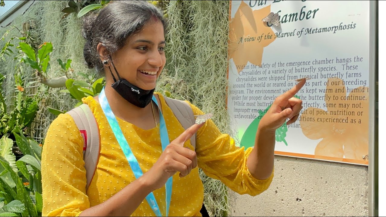 Butterfly conservatory #niagara#niagarapart2#canada#shorts