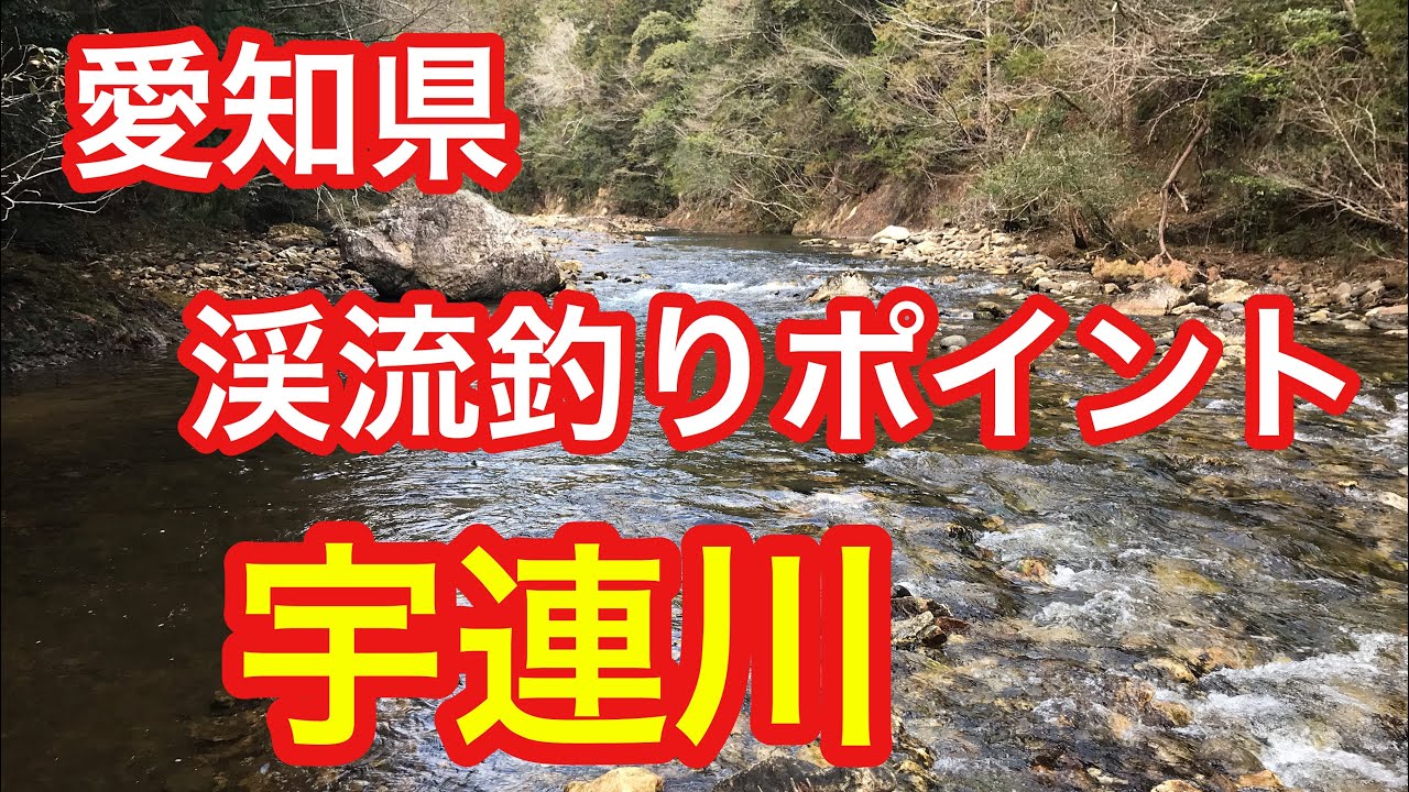 宇連川  愛知県 渓流釣りポイント