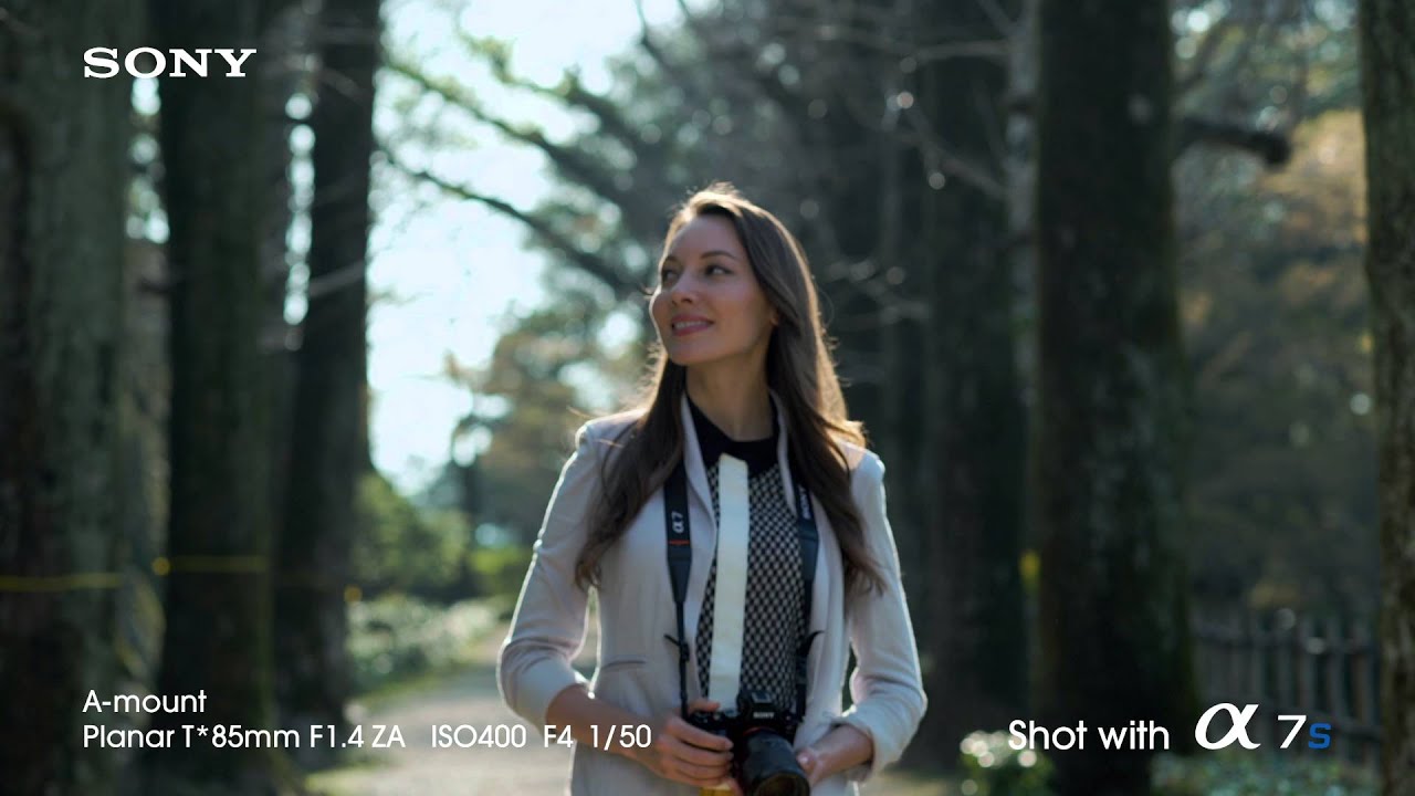 Sony A7s Full-Frame Sensor Camera: 4K Video Demo content