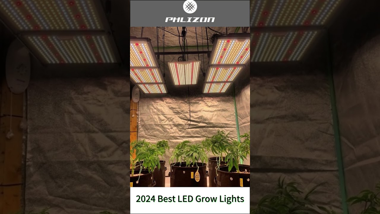 PHLIZON full-spectrum LED Grow Light for Indoor Plants