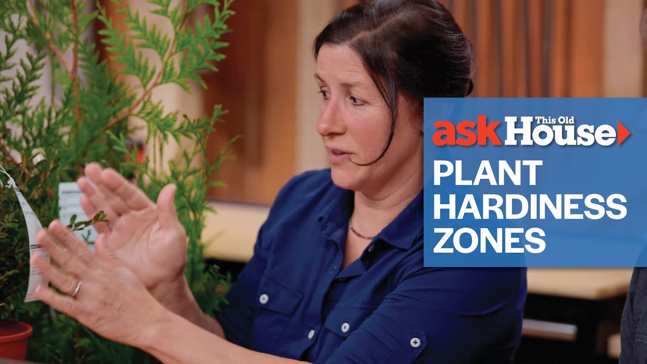 Understanding the Plant Hardiness Zone Map Update | Ask This Old House