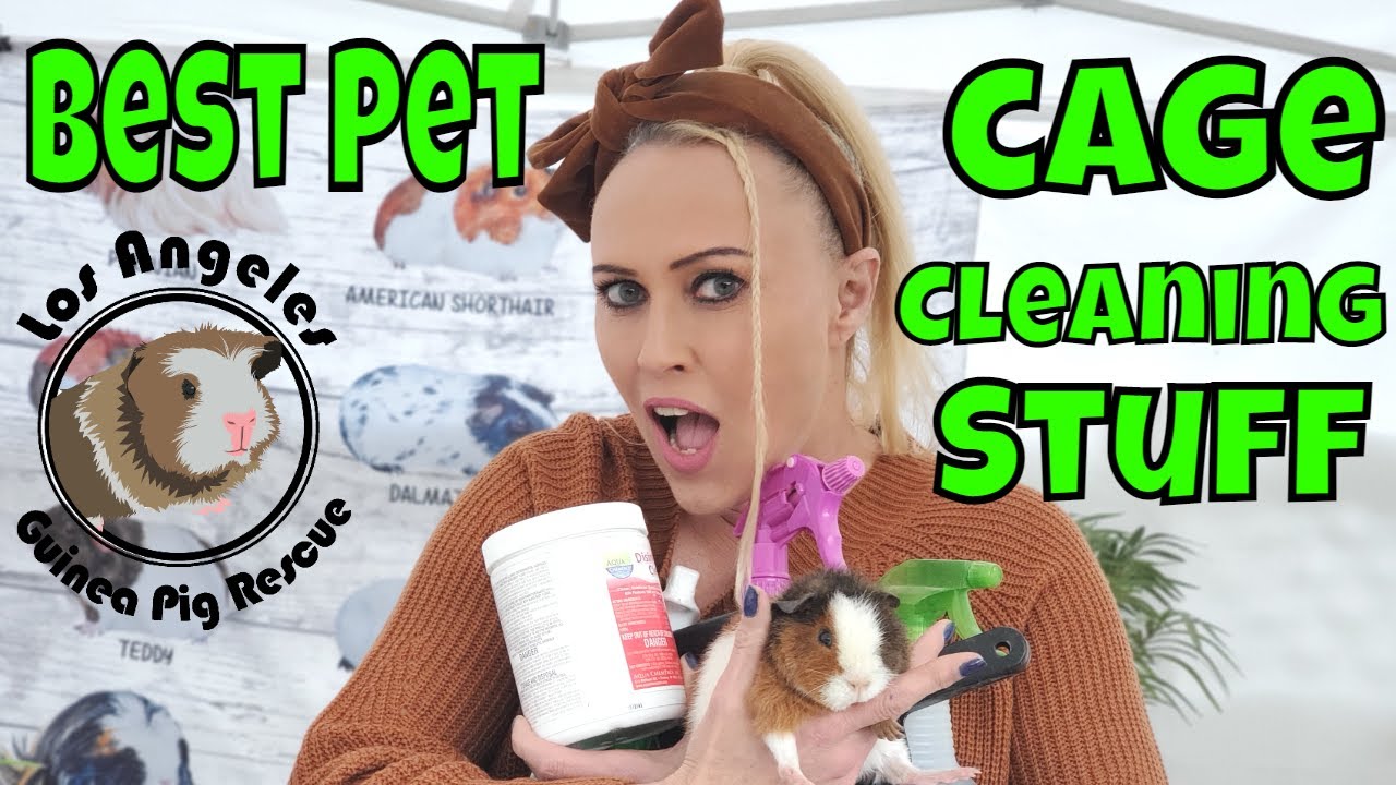 The Best Pet Cage Cleaning Supplies