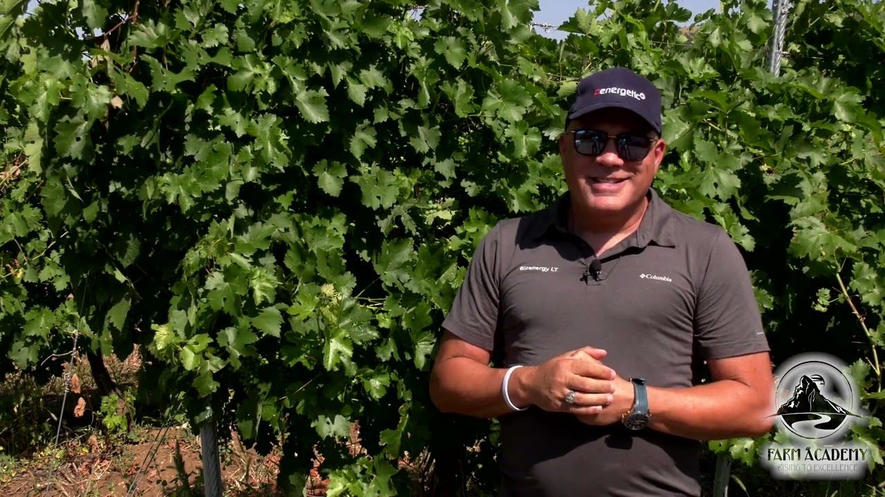 100 % БИОЛОГИЧНИ ПРОДУКТИ В ОТГЛЕЖДАНЕТО НА ЛОЗЯ