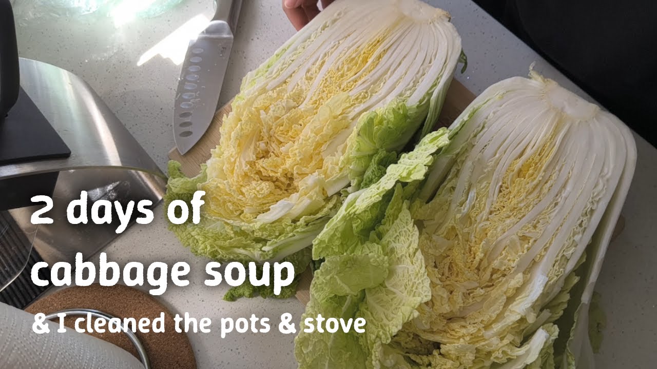 【vlog】I Tried Making Two Cabbage Stews - Mille-Feuille & Spicy | Australia CoL