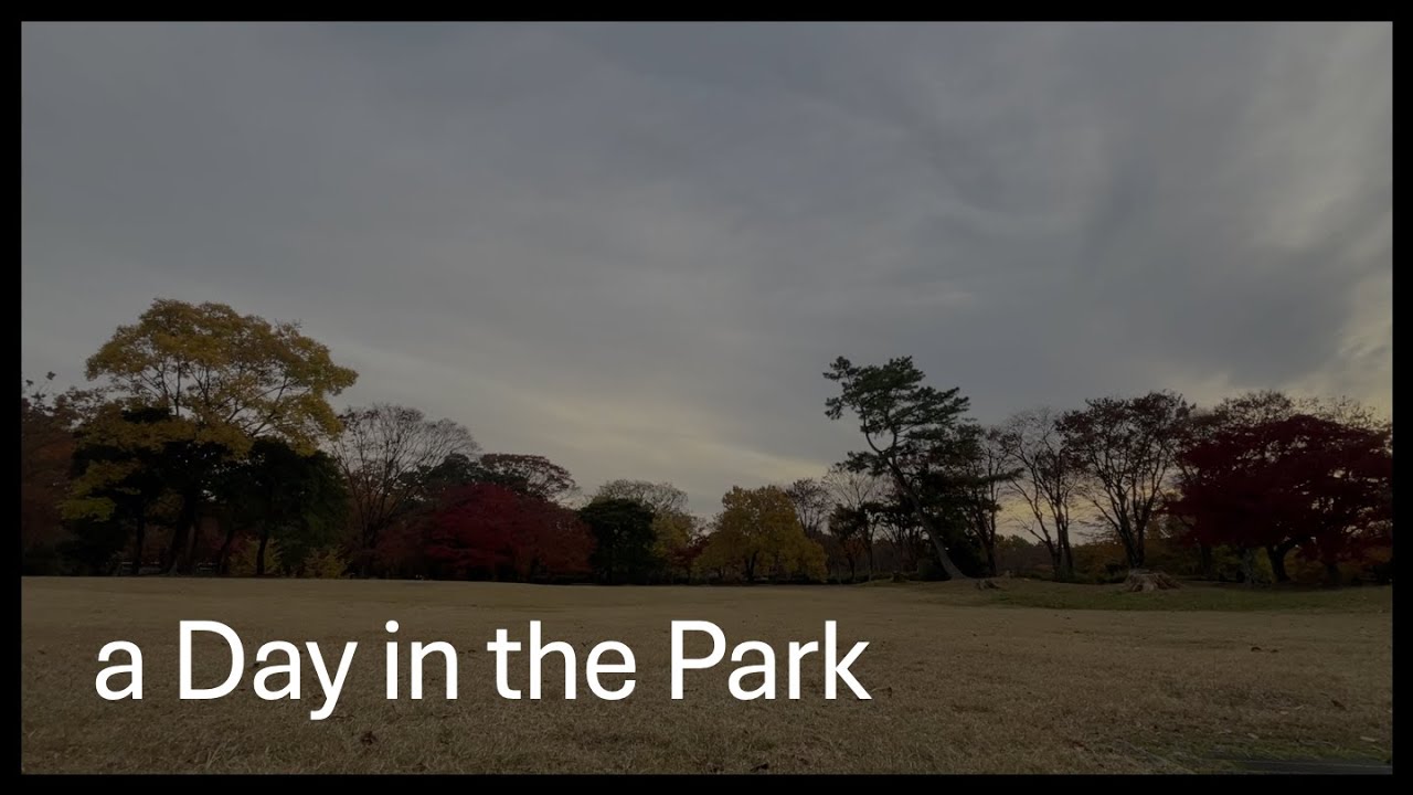 a Day in the Park