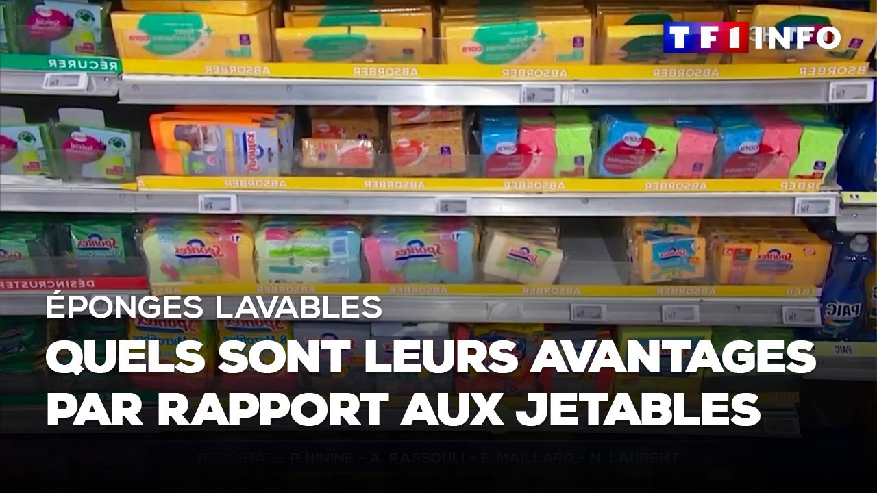 &Eacute;ponges lavables face aux &eacute;ponges jetables : le match｜TF1 INFO