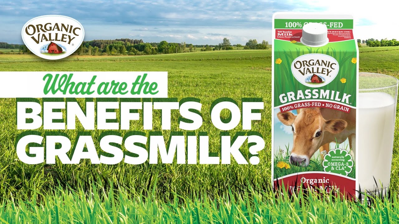 The Health Benefits of Grass Fed Milk | Ask Organic Valley