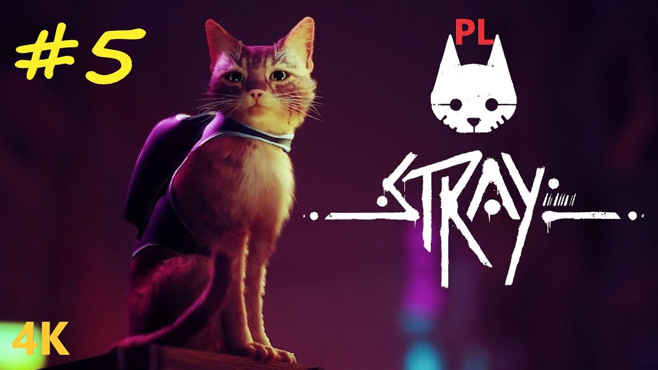 Stray [4K] [PL] #5 Tajny kod już nie jest taki tajny