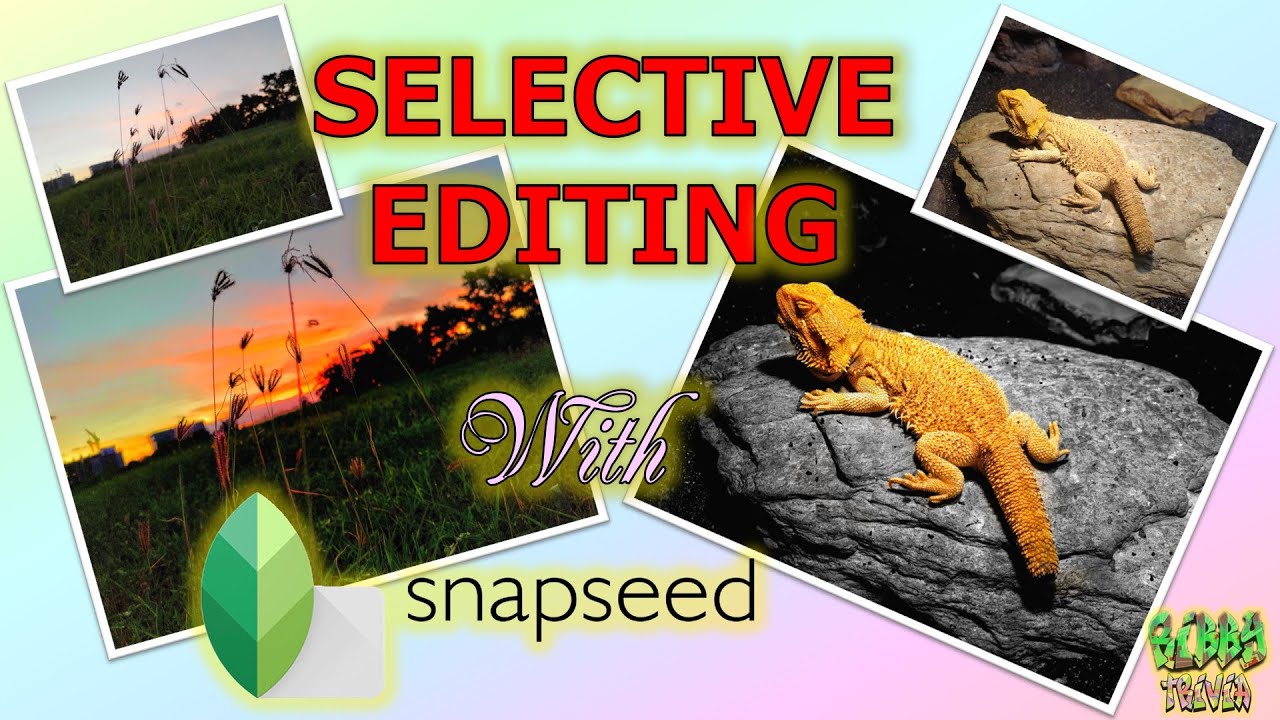 Selective Photo Editing with Snapseed (How To Use View Edits)