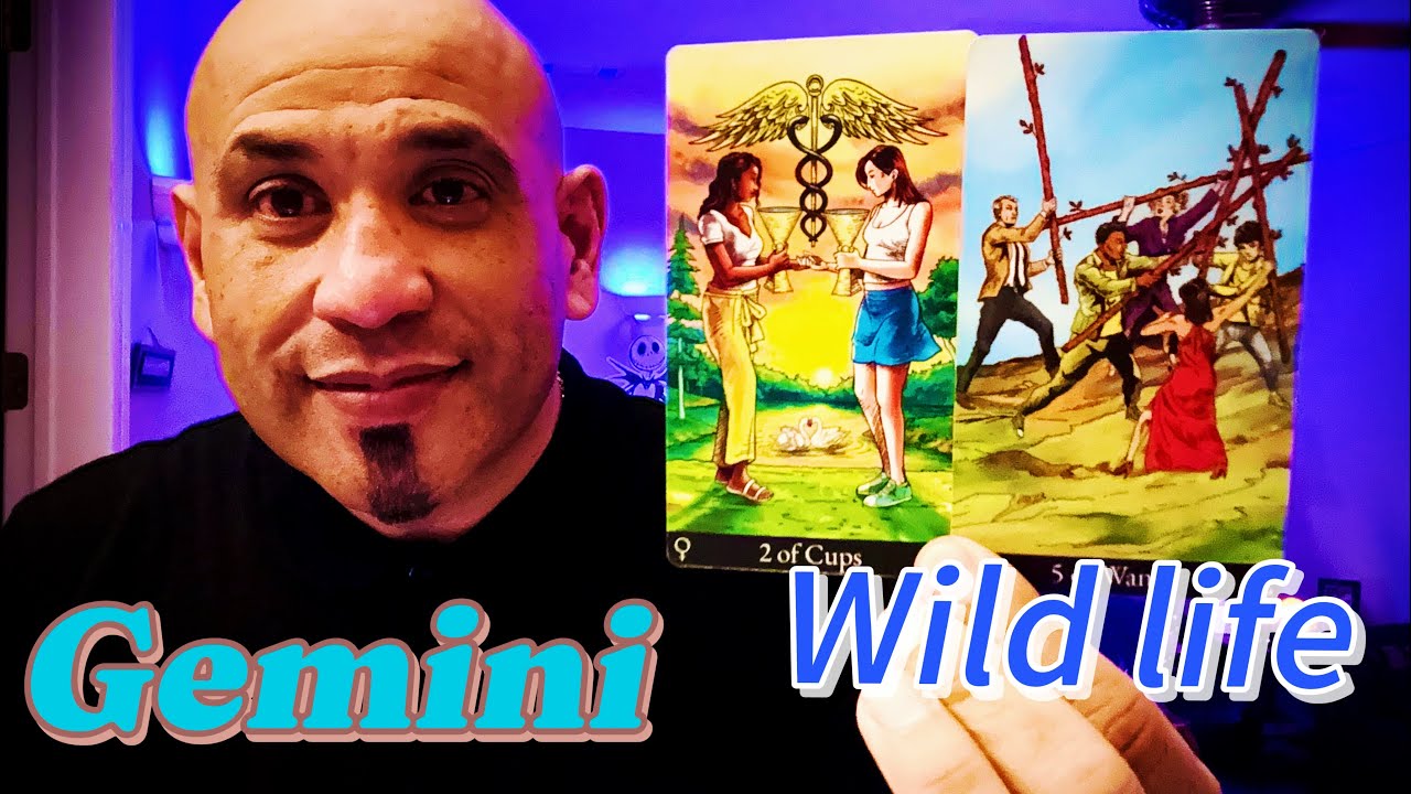 Gemini 🚨IF ONE DAY THEY MADE 🫵🏽 FEEL REJECTED/ ABANDONED … GET READY FOR THIS NEXT PHASE OF…