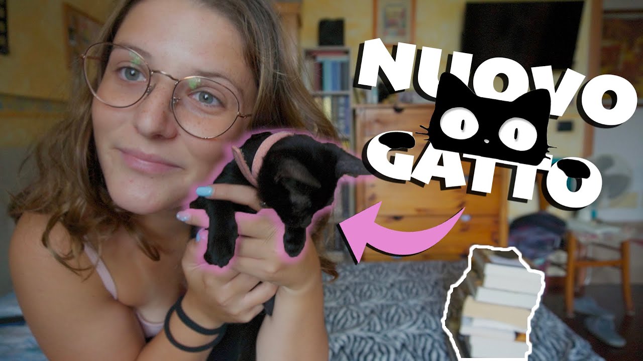 Nuovi LIBRI 📚 e nuovo GATTO 🐈‍⬛