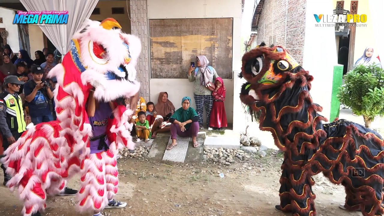 BARONGSAI (BERONDONG) | BUROK MEGA PRIMA | SHOW GRINTING BULAKAMBA 30/10/2025