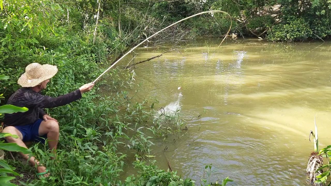Encontrei as brutas a coisa ficou feia, tilápias, traíras, pescaria!!!
