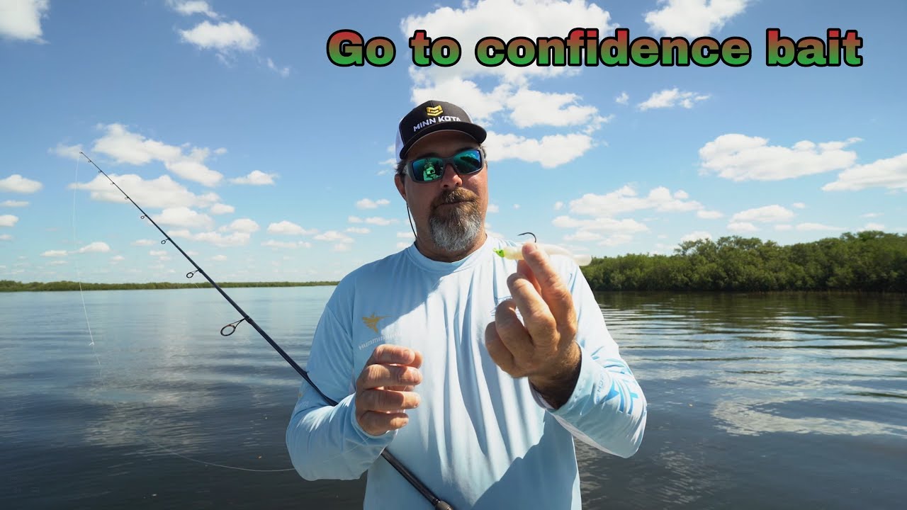 Confidence Baits
