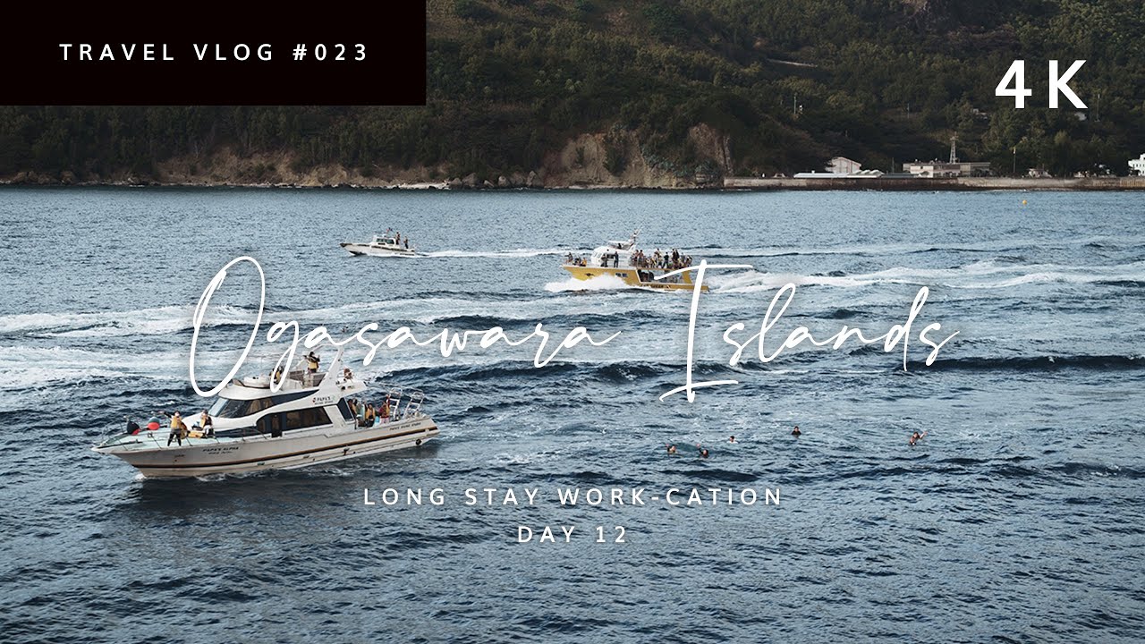 「いってきます！また来るね」感動の見送り／再び24時間のおがさわら丸船旅へ🚢【小笠原諸島でワーケーション 最終話】