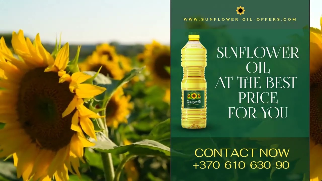 How to buy sunflower oil 🌻 at a good 👍 wholesale price? 🔥HOT OFFERS🔥