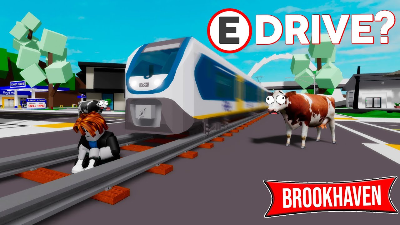 NEW TRAINS IN BROOKHAVEN 🏡RP