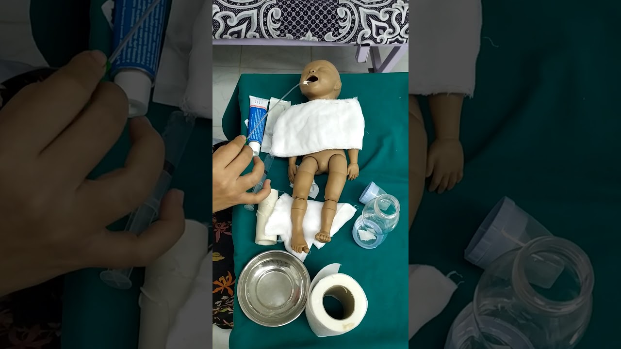 Gavage feeding جزء عملي 3