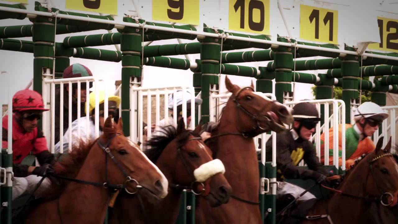 Musselburgh Racecourse
