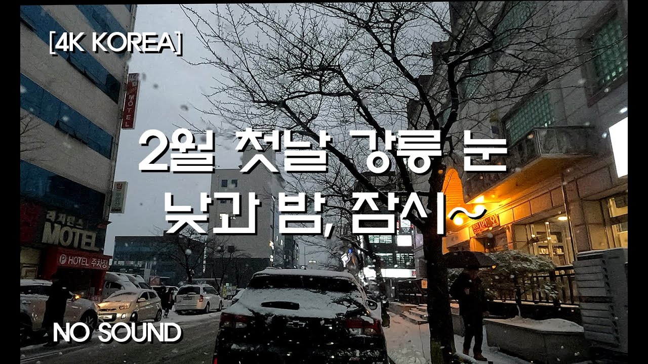 [4K KOREA] 2월 첫날 눈, 강릉 낮과 밤에 잠시