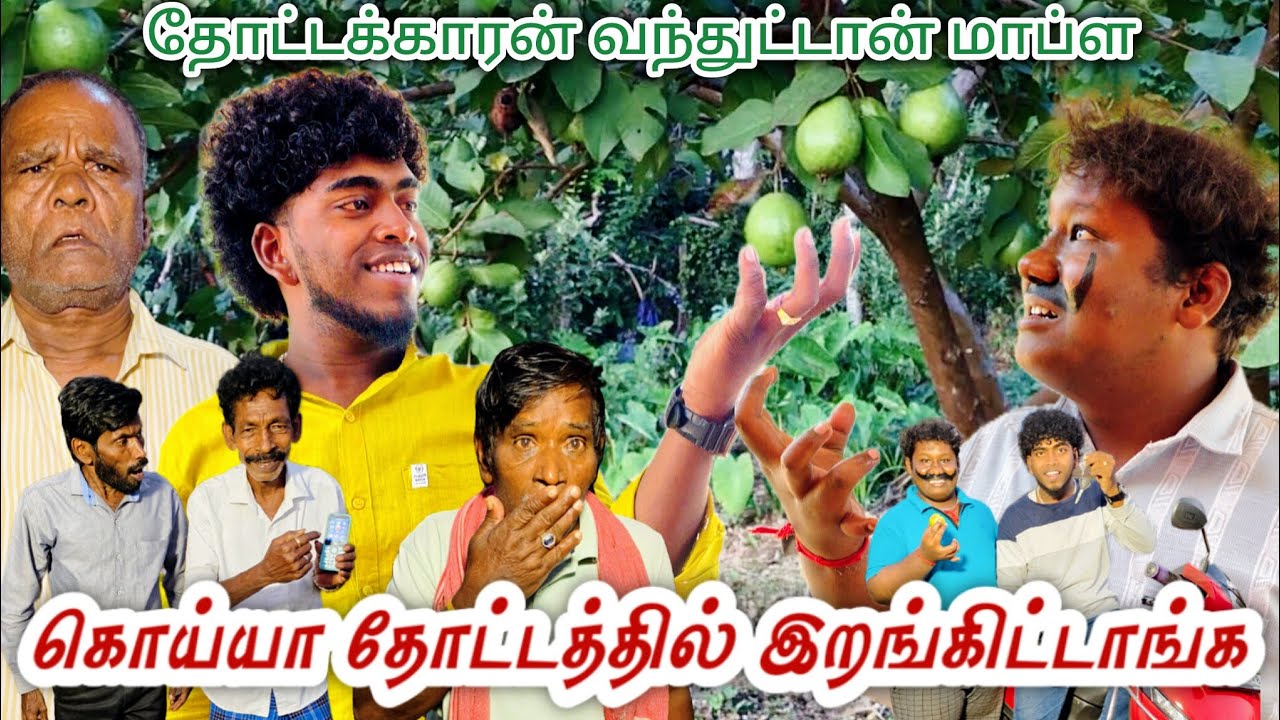 மாப்ள கொய்யாக்கா தோட்டக்காரன் வந்துட்டான் நம்ம மாட்டிக்கிட்டோம் | Pana Matta