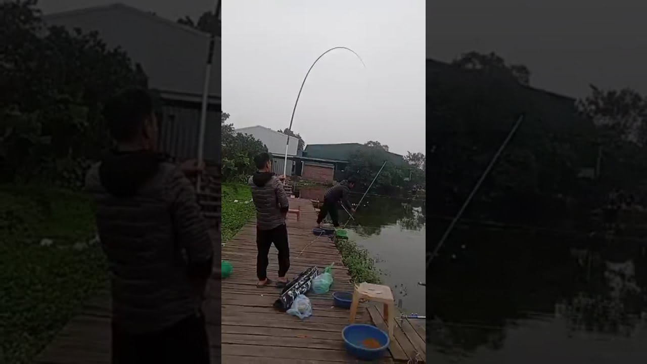 Vlogs 40 Báo cá - Hồ Câu DUY NGUYÊN 0383430084 Thôn Đoàn Kết, xã Đại Yên, huyện Chương Mỹ, Hà Nội