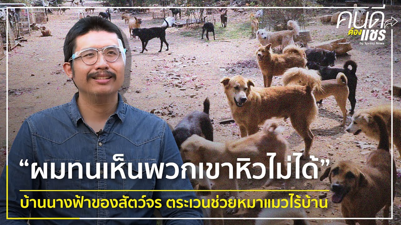“ผมทนเห็นพวกเขาหิวไม่ได้” บ้านนางฟ้าของสัตว์จร ตระเวนช่วยหมาแมวไร้บ้าน I คนดีต้องแชร์ I 16 มี.ค.64