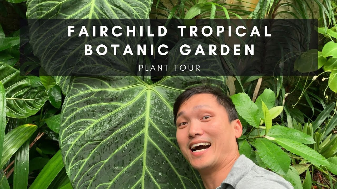 Plant Tour of Fairchild Tropical Botanic Garden in Miami Florida | Ep 24