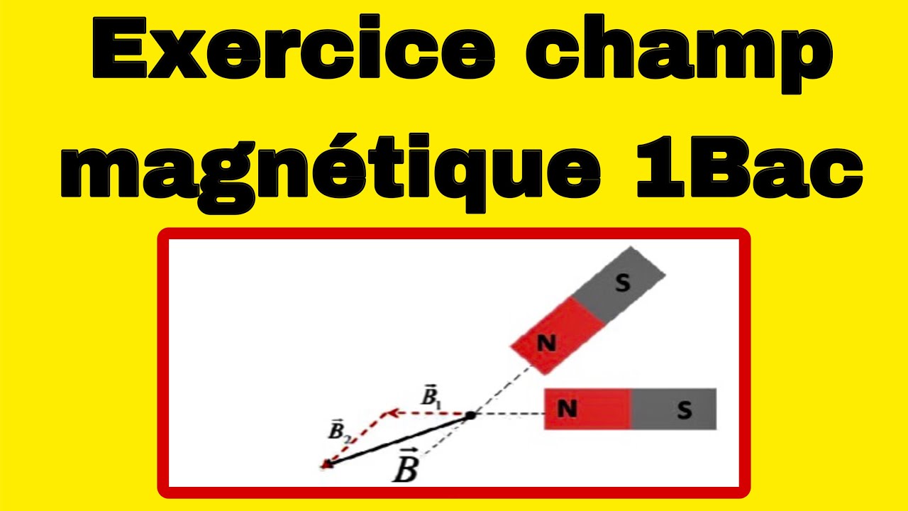 Exercices le champ magnétique 1 #biof #1bac