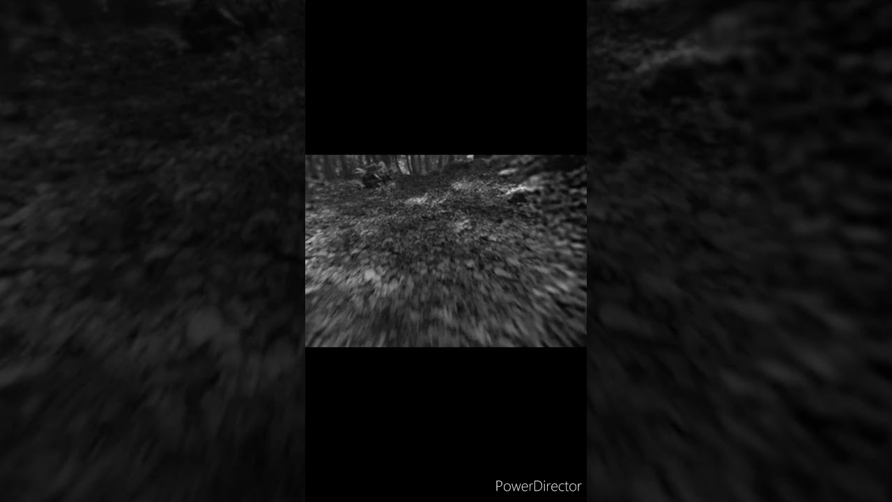 Black Forrest pt.1 70bpm (prod. by Flip_BeatZ)