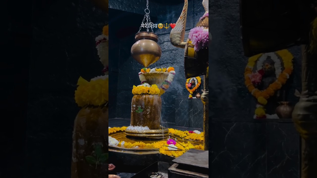 Mahadev status video 💞 bholenath status ❣️ shiv status #shorts