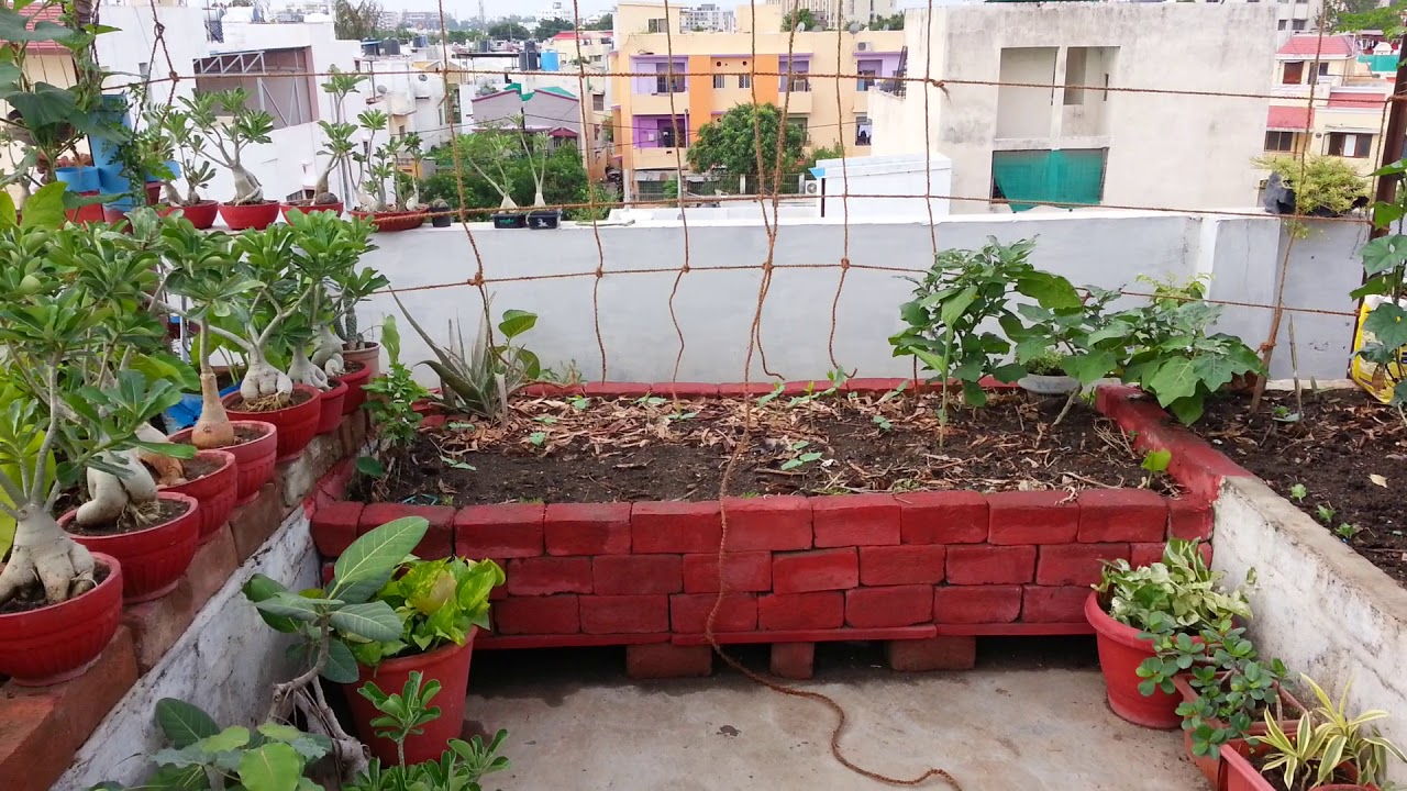 चलो छत पर उगाएँ सब्जियाँ पार्ट  2 How we start terrace gardening prt 2