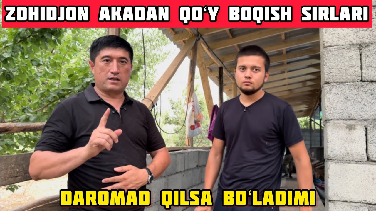 Zohidjon Akadan Maslahatlar,Qoʻy Boqib Daromad Qilish Sirlari