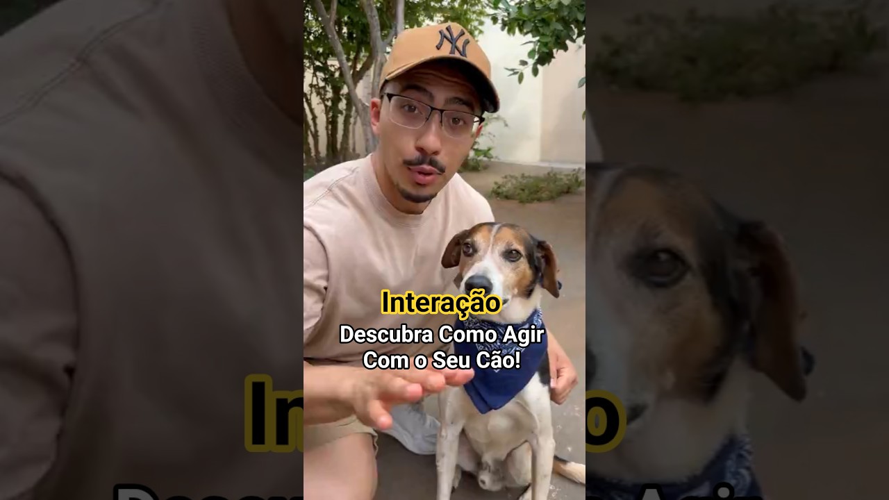 N&Atilde;O INTERAJA COM O SEU C&Atilde;O! 🚫🐕